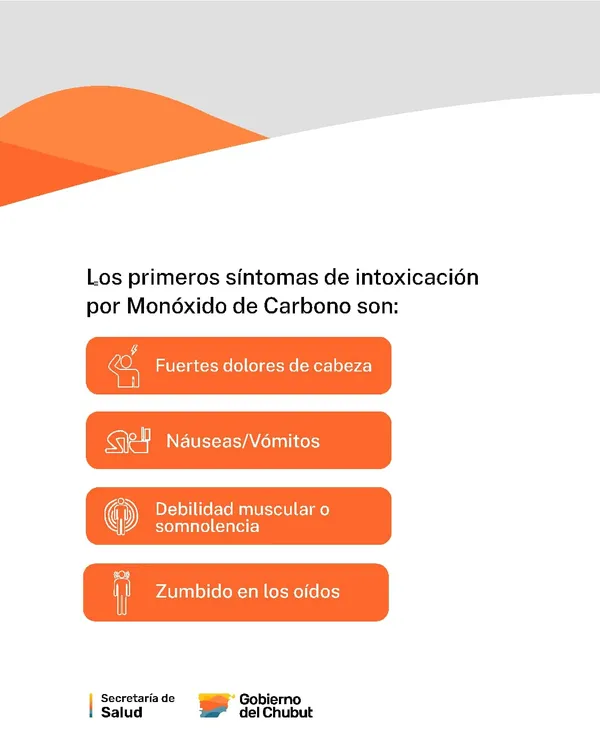 WhatsApp Image 2026-04-03 at 11.31.05