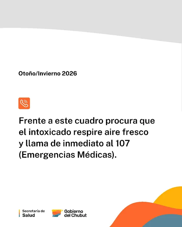 WhatsApp Image 2026-04-03 at 11.31.16